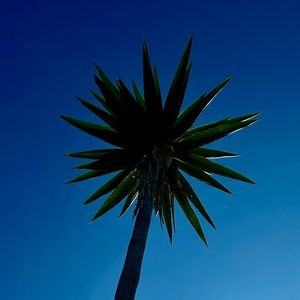 Meet your Posher, Diana